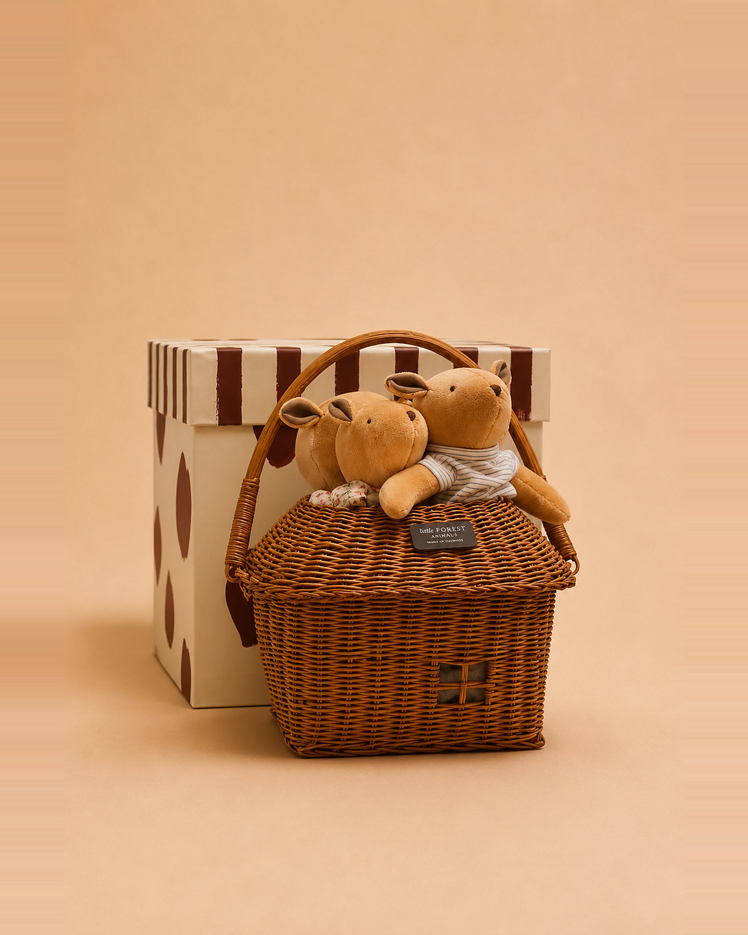 The Thompson Family Grand bear dolls with their woven house-shaped basket and box.