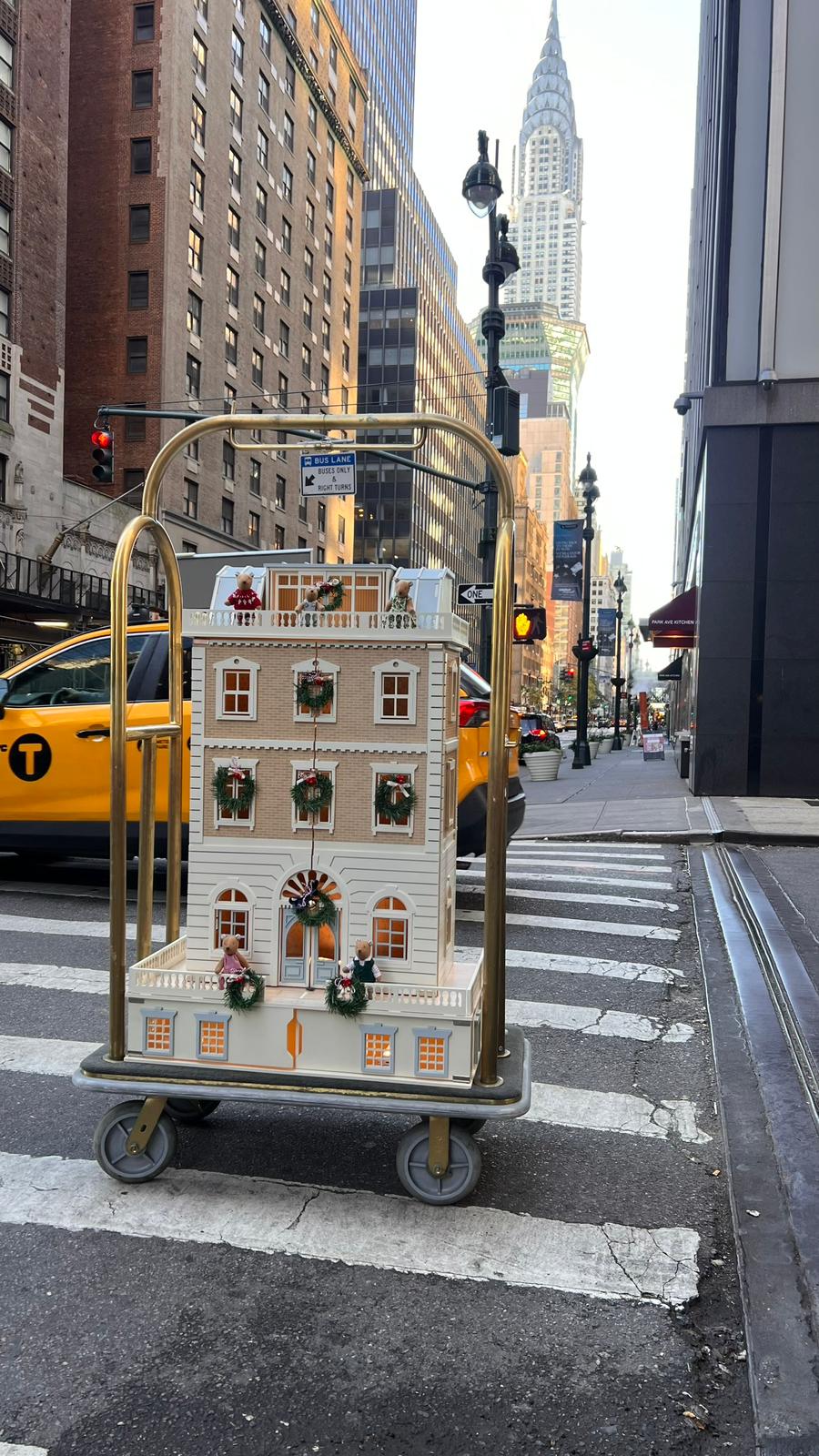 The Thompsons, a New York bear family