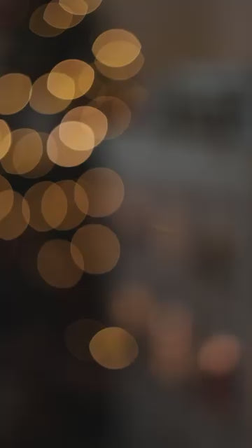 The Thompsons — A New York Family Living in the House of New York Dollhouse