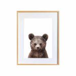 Paul the Bear