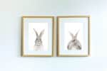 Bunny Butt - Image 3