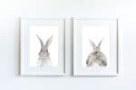 Bunny Butt - Image 6