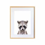 Jerry the Racoon