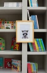 Jerry the Racoon - Image 4