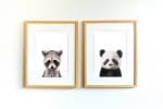 Jerry the Racoon - Image 12