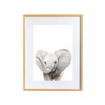 Wilma the Elephant