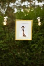 Gloria the Giraffe - Image 5