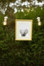 Wilma the Elephant - Image 3