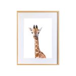 Gloria the Giraffe