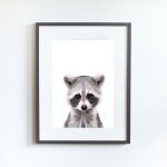 Jerry the Racoon - Image 9