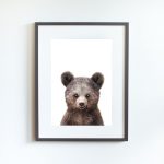 Paul the Bear - Image 14