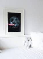 Dreaming in the Punt - Image 2