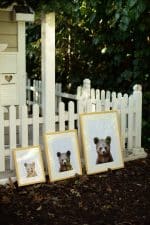 Jerry the Racoon - Image 16