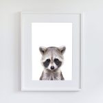 Jerry the Racoon - Image 8