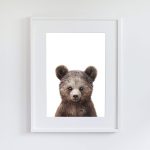 Paul the Bear - Image 15