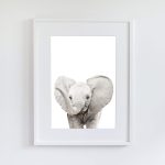 Wilma the Elephant - Image 9