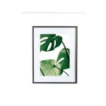 Tropical Leaf - Image 6