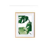 Tropical Leaf - Image 4