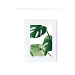 Tropical Leaf - Image 5